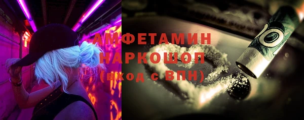 крисы Ростов