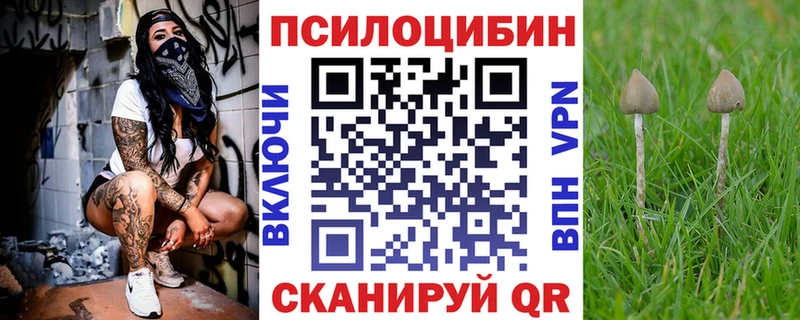 Купить  Топки  Галлюциногенные грибы ЛСД 