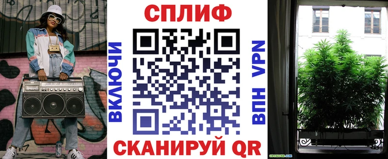 Бошки Шишки план  Купить закладки  Топки 